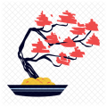 bonsai